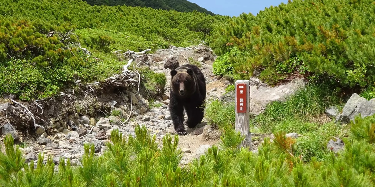 リスク管理と判断力の画像